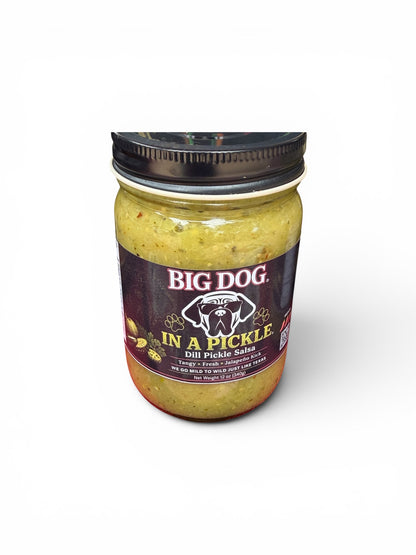 In A Pickle - Dill  Pickle Salsa
